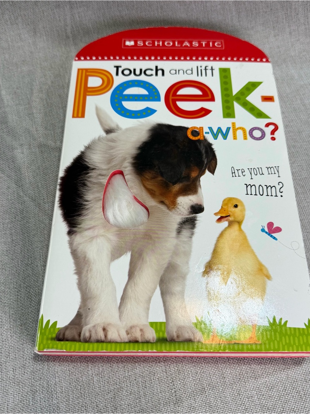 Scholastic Peek-a-Who? Touch and Lift Board Book